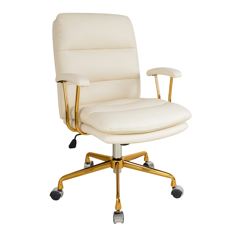 প্যাড মেটাল আর্মরেস্ট ডাবল কুশন হোম অফিস চেয়ার (X-5147)